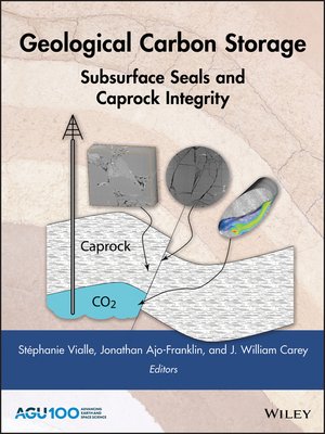 cover image of Geological Carbon Storage